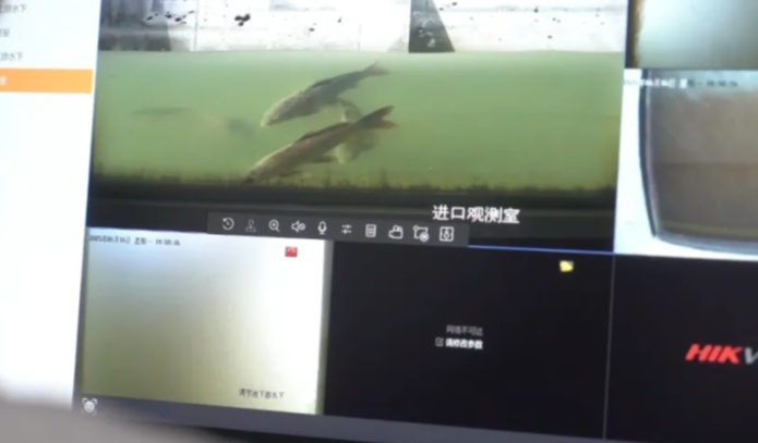 4图为鱼类洄游实时监控画面_副本