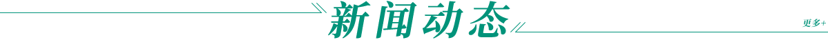 银河galaxy集团